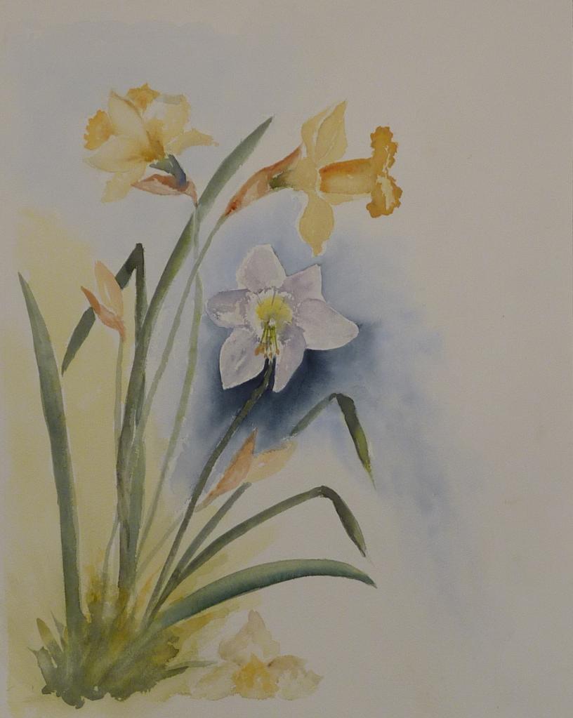 101-Jonquilles-(40x55)
