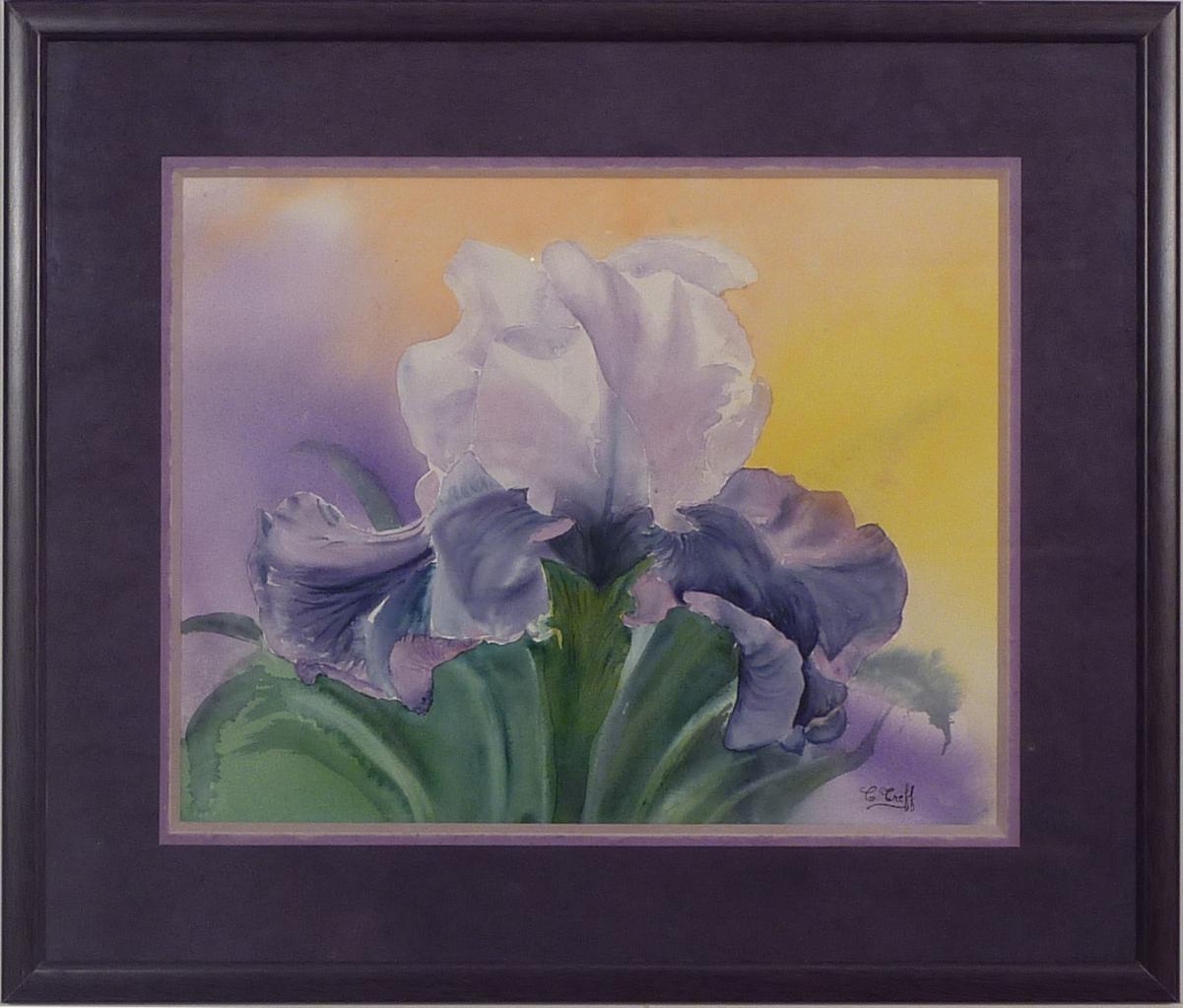 144-Iris-(59x49)