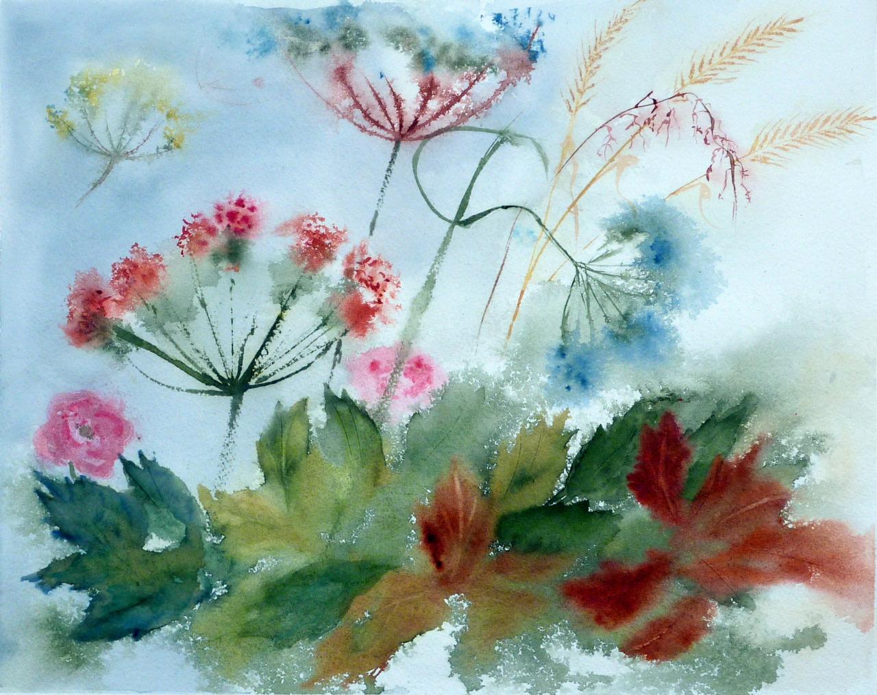 185-Ombellifères-(43x35)