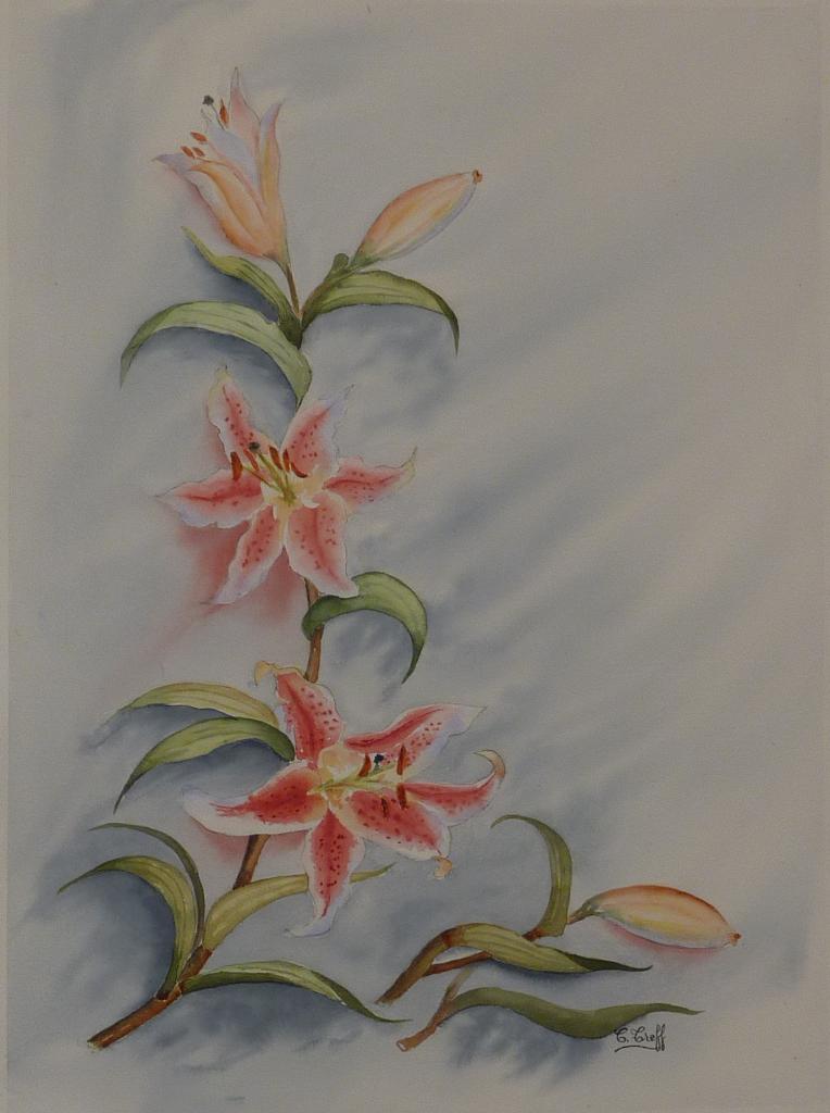 194b-Lys-(42x56)